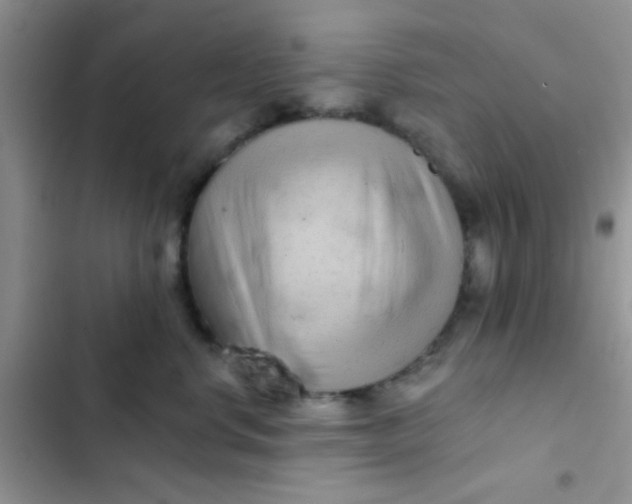 X0000102540668200808221930