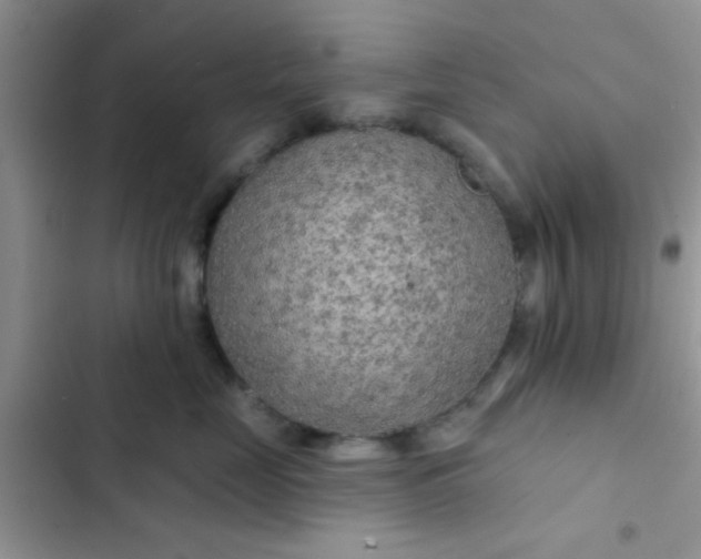 X0000102540669200808221930