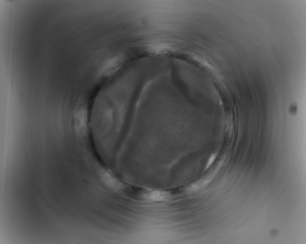 X0000102540670200808221930