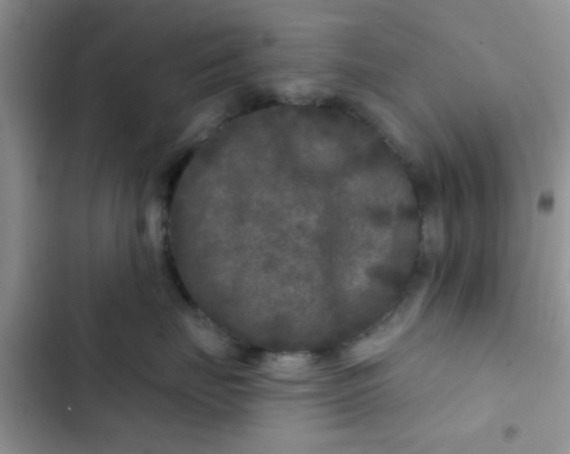 X0000102540671200808221930