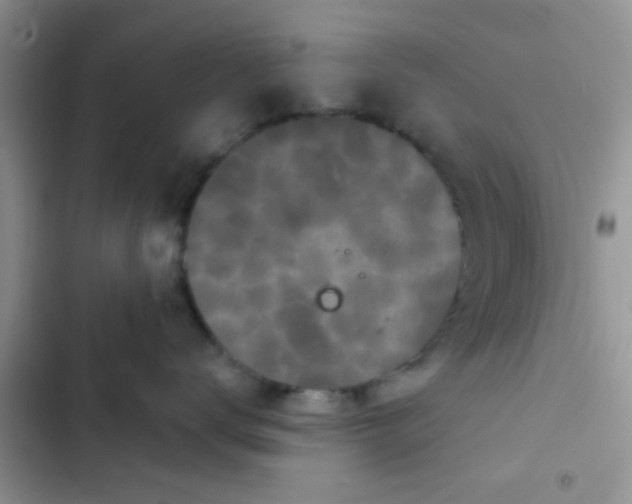 X0000102540672200808221930