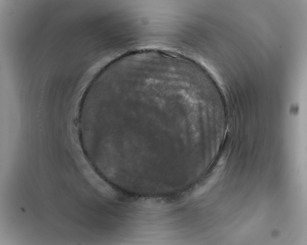 X0000102540673200808221929