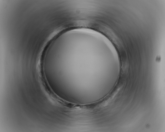 X0000102540674200808221929