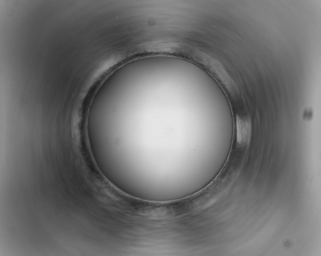 X0000102540675200808221929