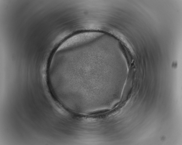 X0000102540677200808221929