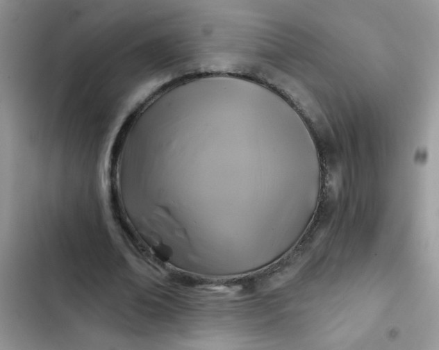 X0000102540678200808221929