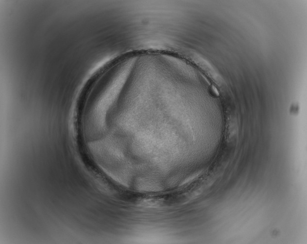 X0000102540680200808221929