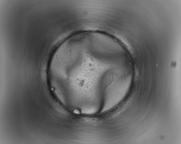 X0000102540681200808221929