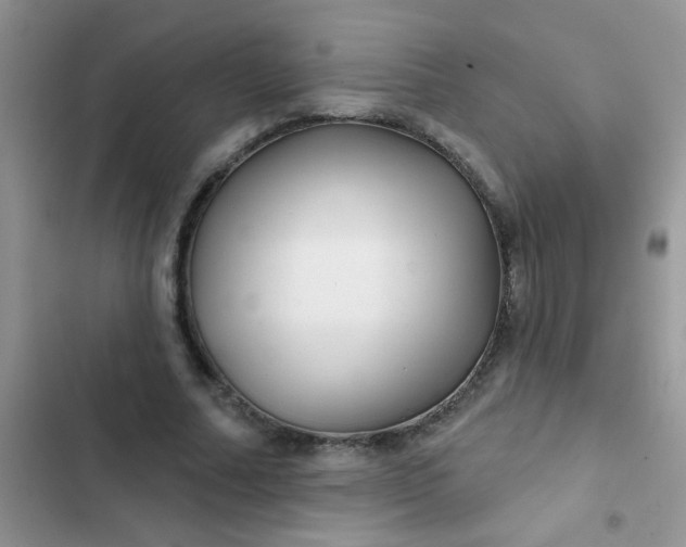 X0000102540682200808221929