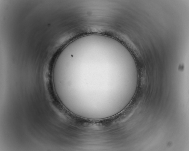 X0000102540683200808221929