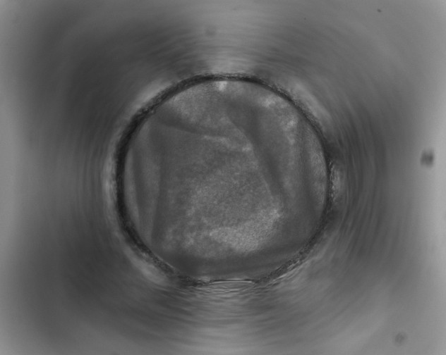 X0000102540684200808221929