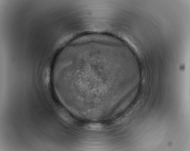 X0000102540685200808221929