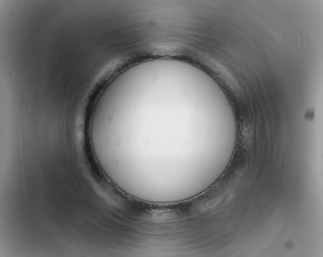 X0000102540686200808221929