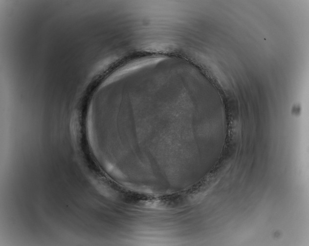 X0000102540688200808221929