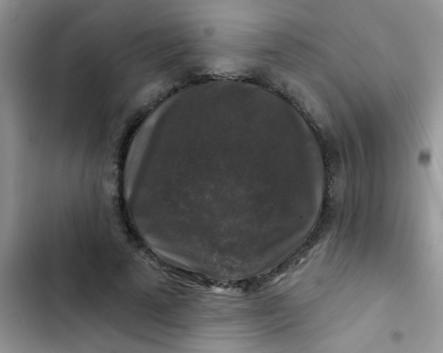 X0000102540689200808221929