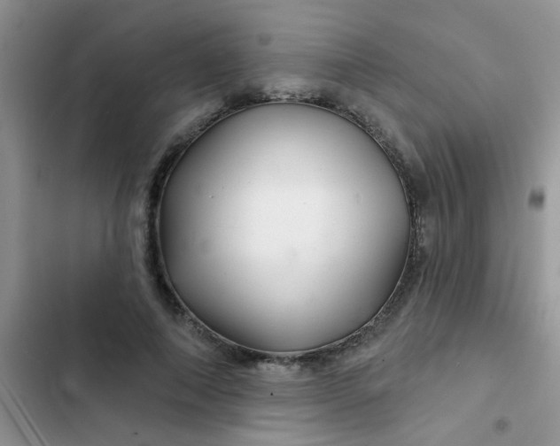 X0000102540690200808221929