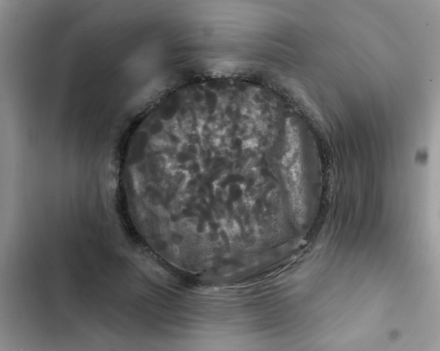X0000102540691200808221929