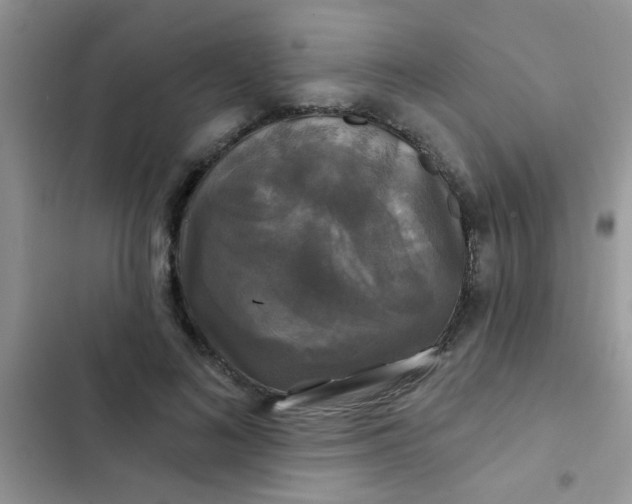 X0000102540692200808221929