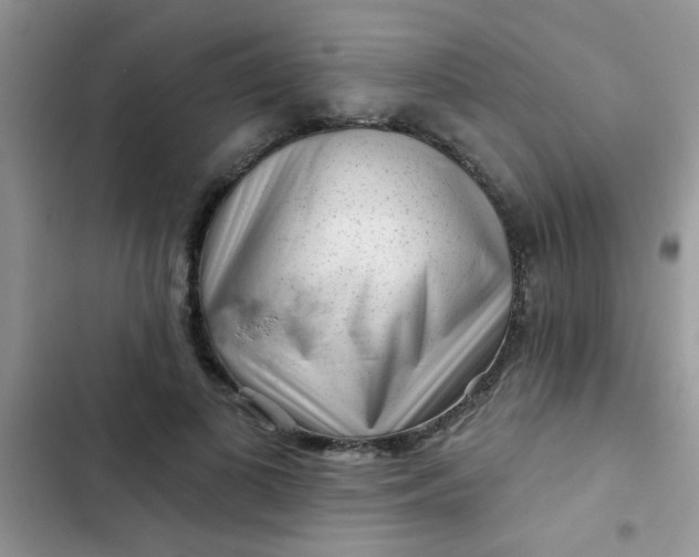 X0000102540693200808221929