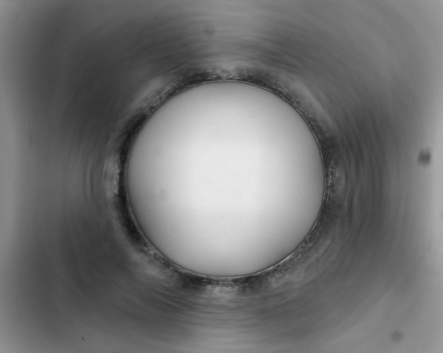 X0000102540694200808221929