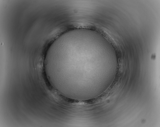 X0000102540695200808221929