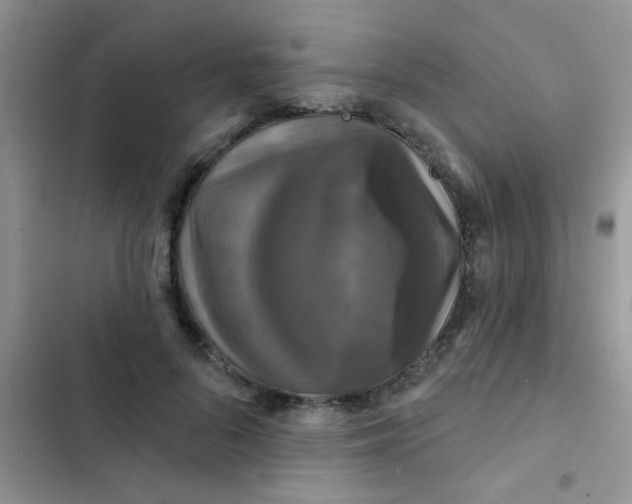 X0000102540696200808221929