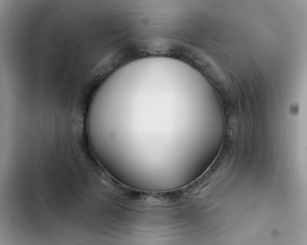 X0000102540697200808221929