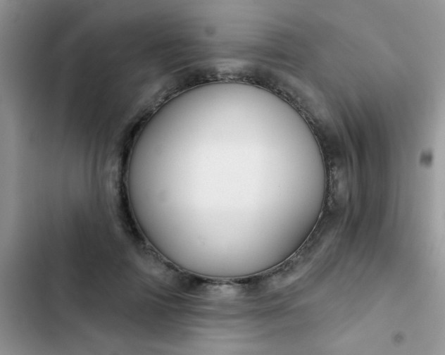X0000102540698200808221929