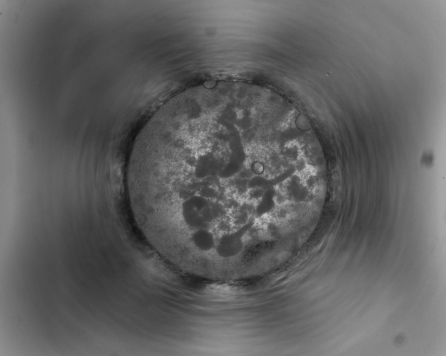 X0000102540699200808221929