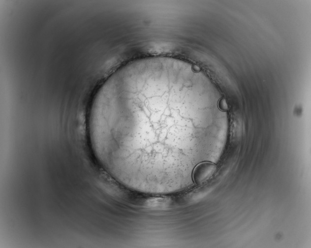 X0000102540700200808221929