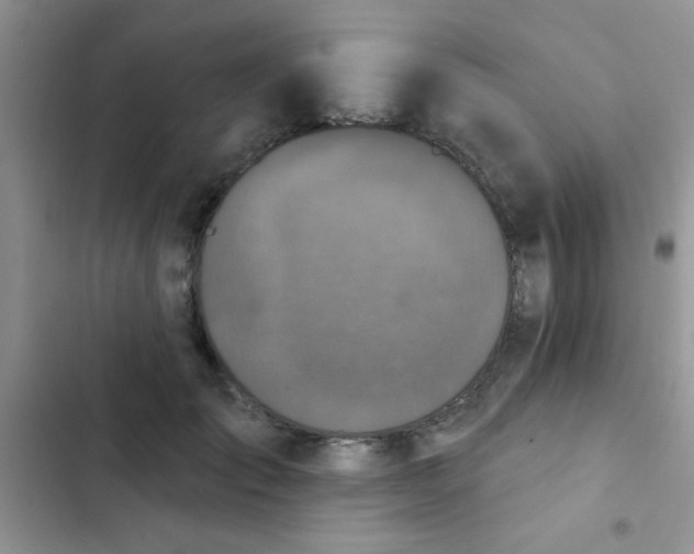 X0000102540701200808221929