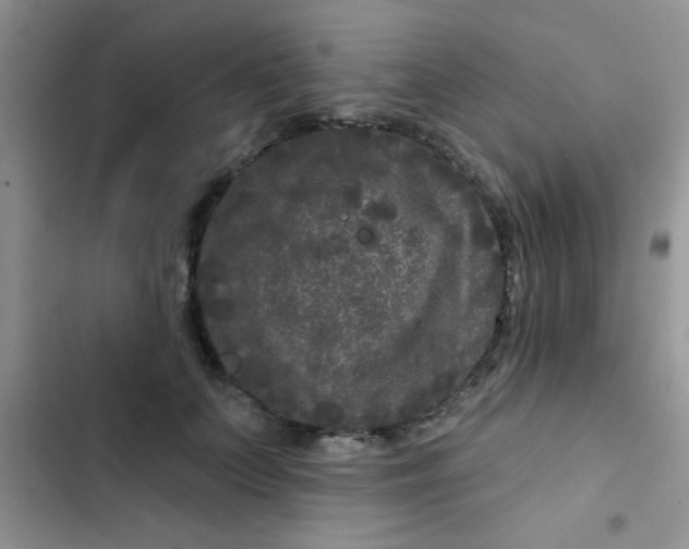 X0000102540703200808221929