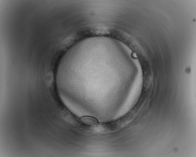 X0000102540704200808221929
