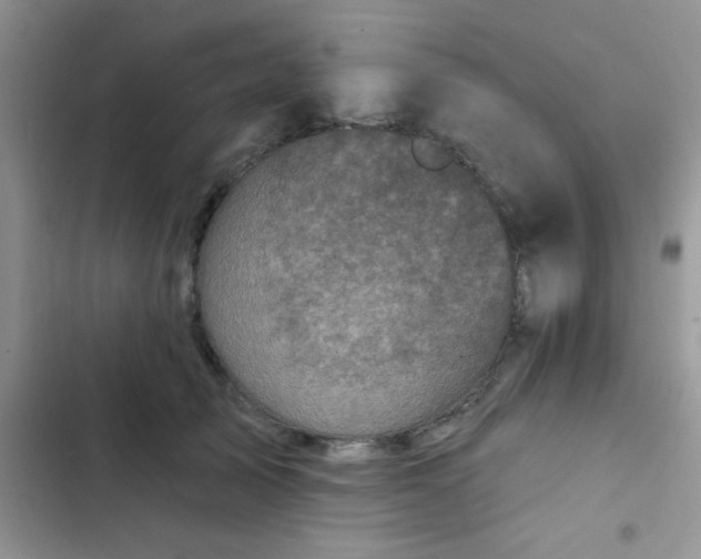 X0000102540705200808221929