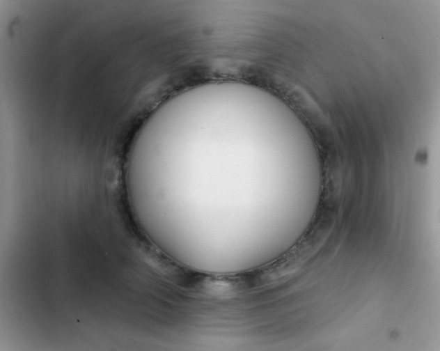 X0000102540706200808221929