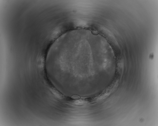 X0000102540708200808221929