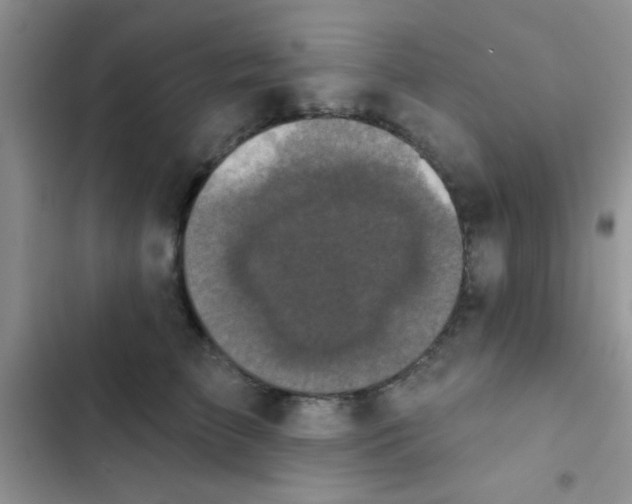X0000102540709200808221929