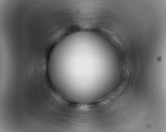 X0000102540710200808221929