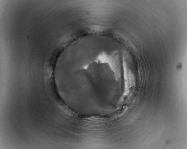 X0000102540711200808221929