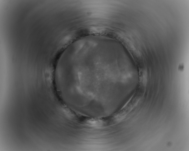 X0000102540712200808221929