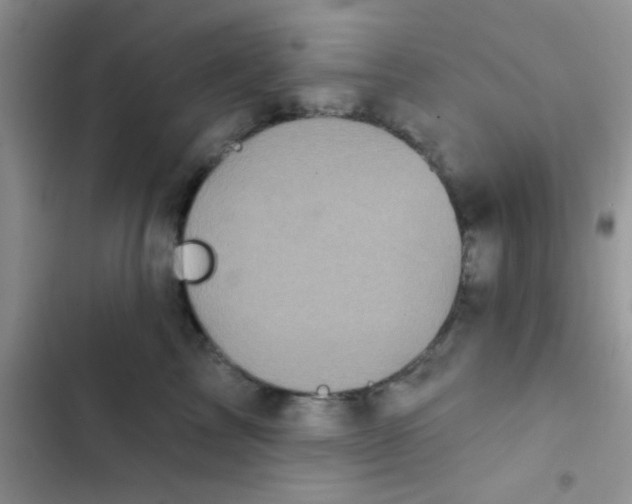 X0000102540713200808221929