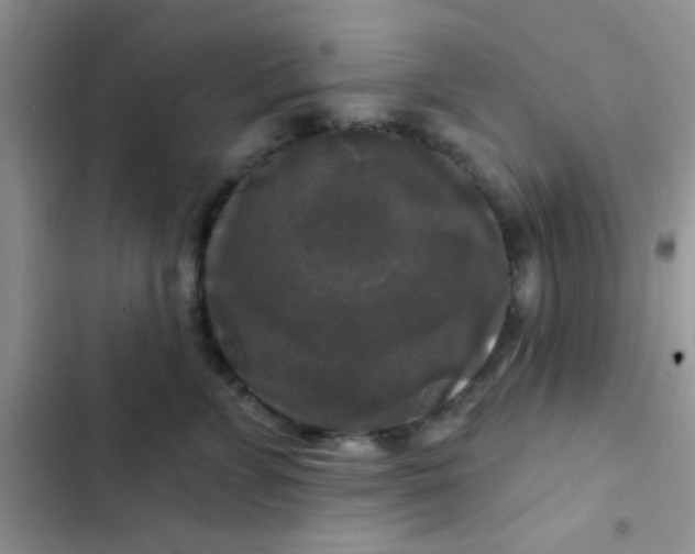 X0000102540715200808221929