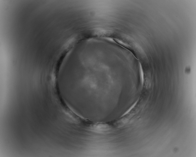 X0000102540716200808221929