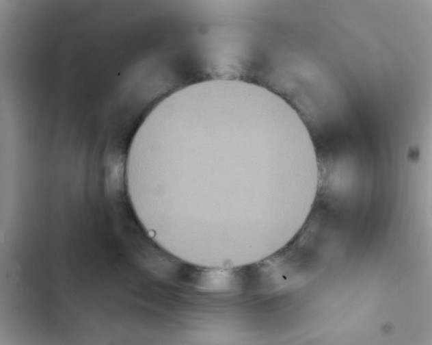 X0000102540717200808221929