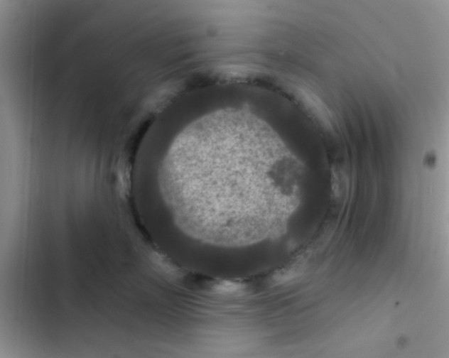 X0000102540718200808221929