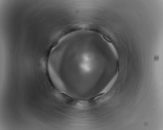 X0000102540720200808221929