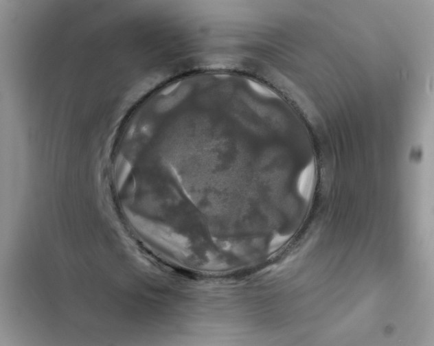 X0000102540721200808221928