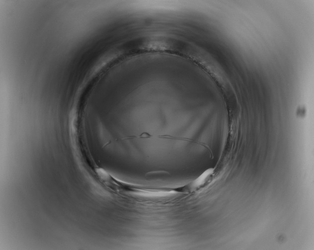 X0000102540722200808221928