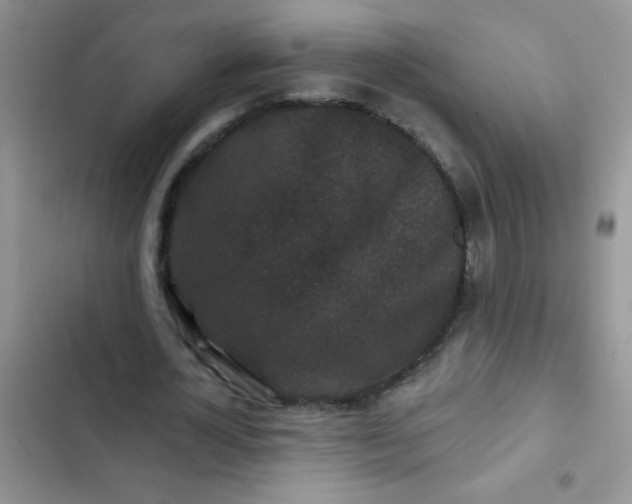 X0000102540724200808221928