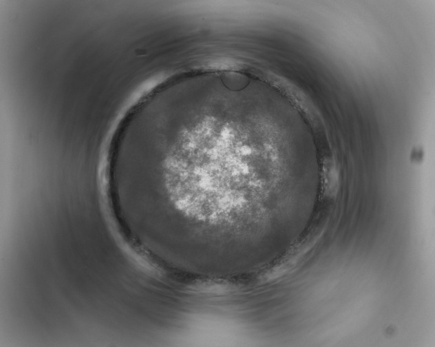 X0000102540726200808221928